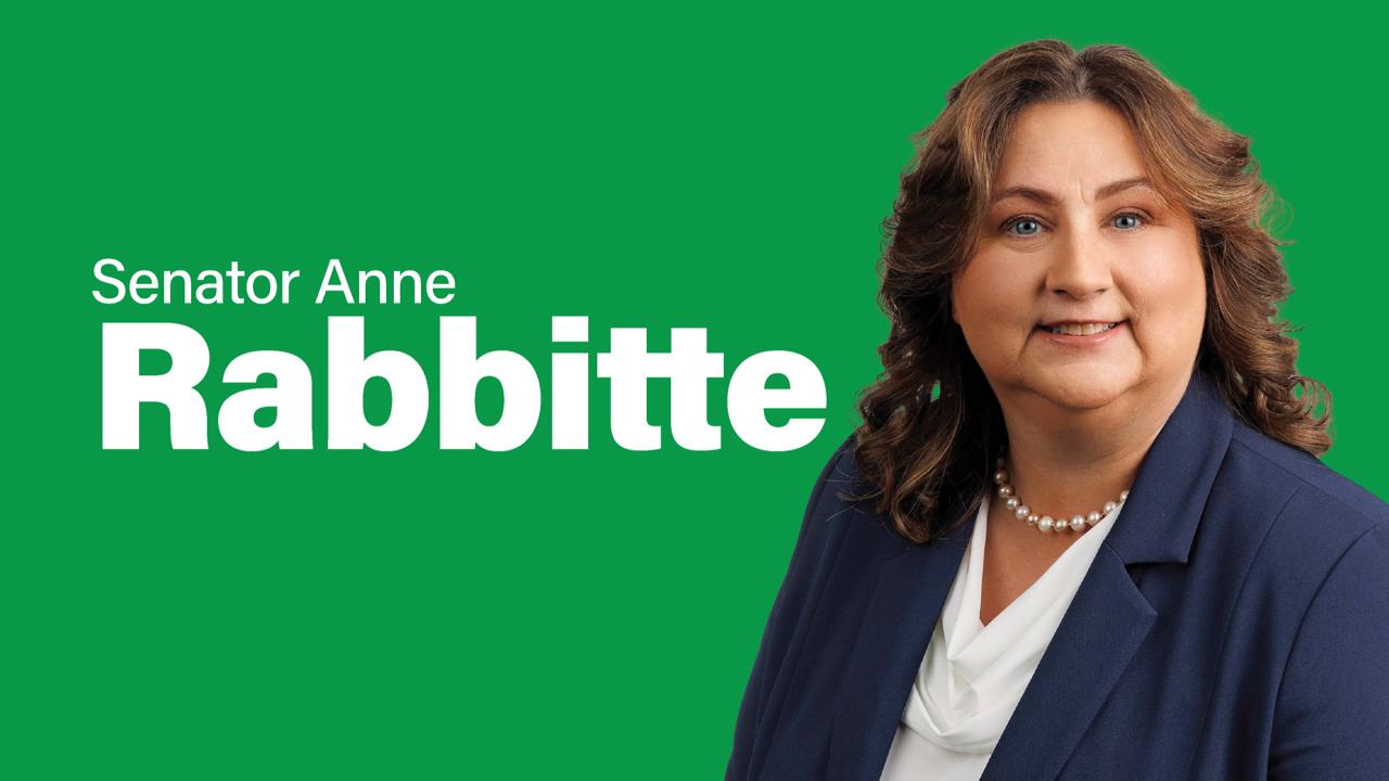 'Empowering Parents in the Digital Age'– Senator Anne Rabbitte