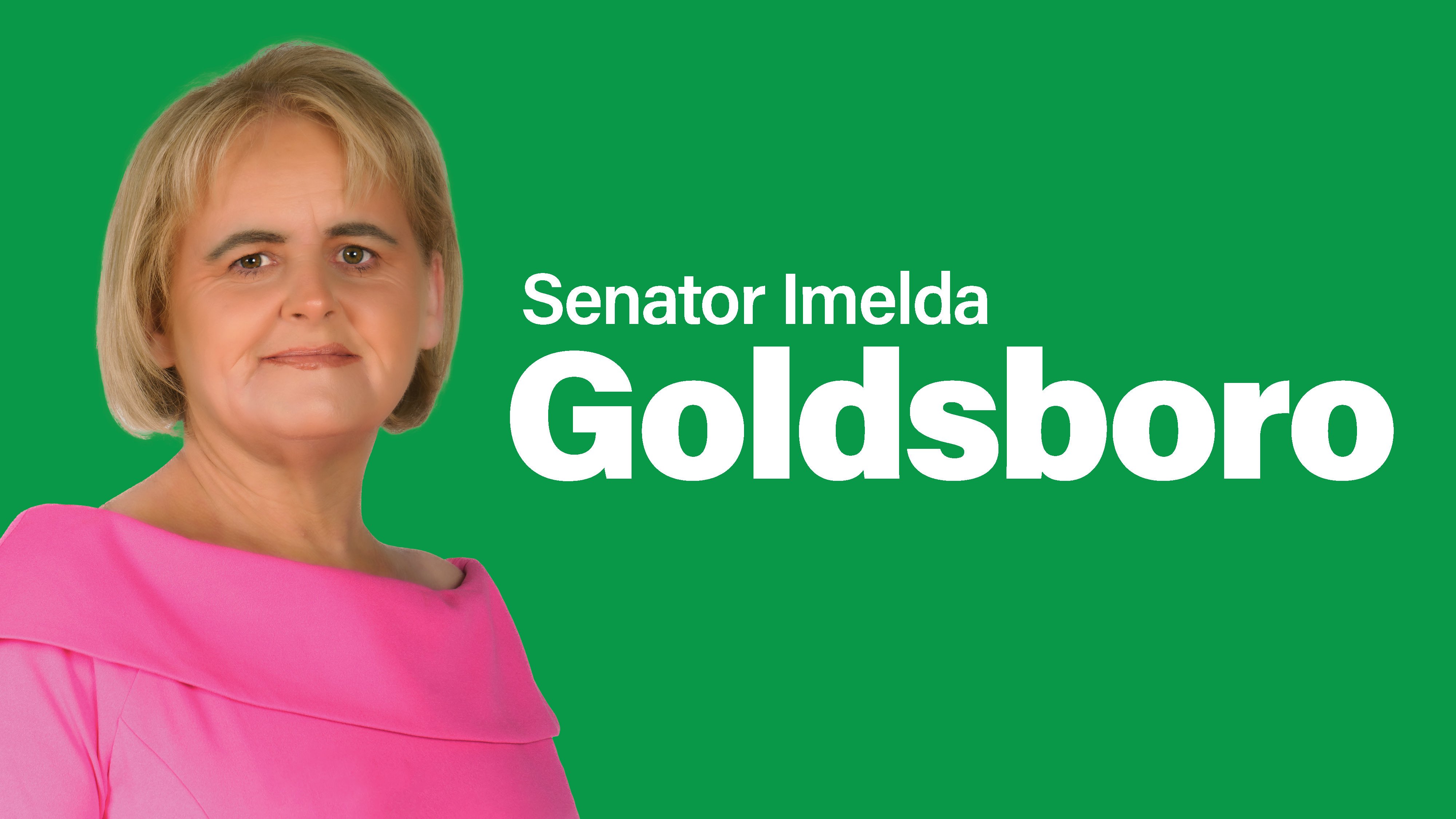 Senator Imelda Goldsboro: €24.3 Billion Transport Investment – Transforming How Ireland Moves