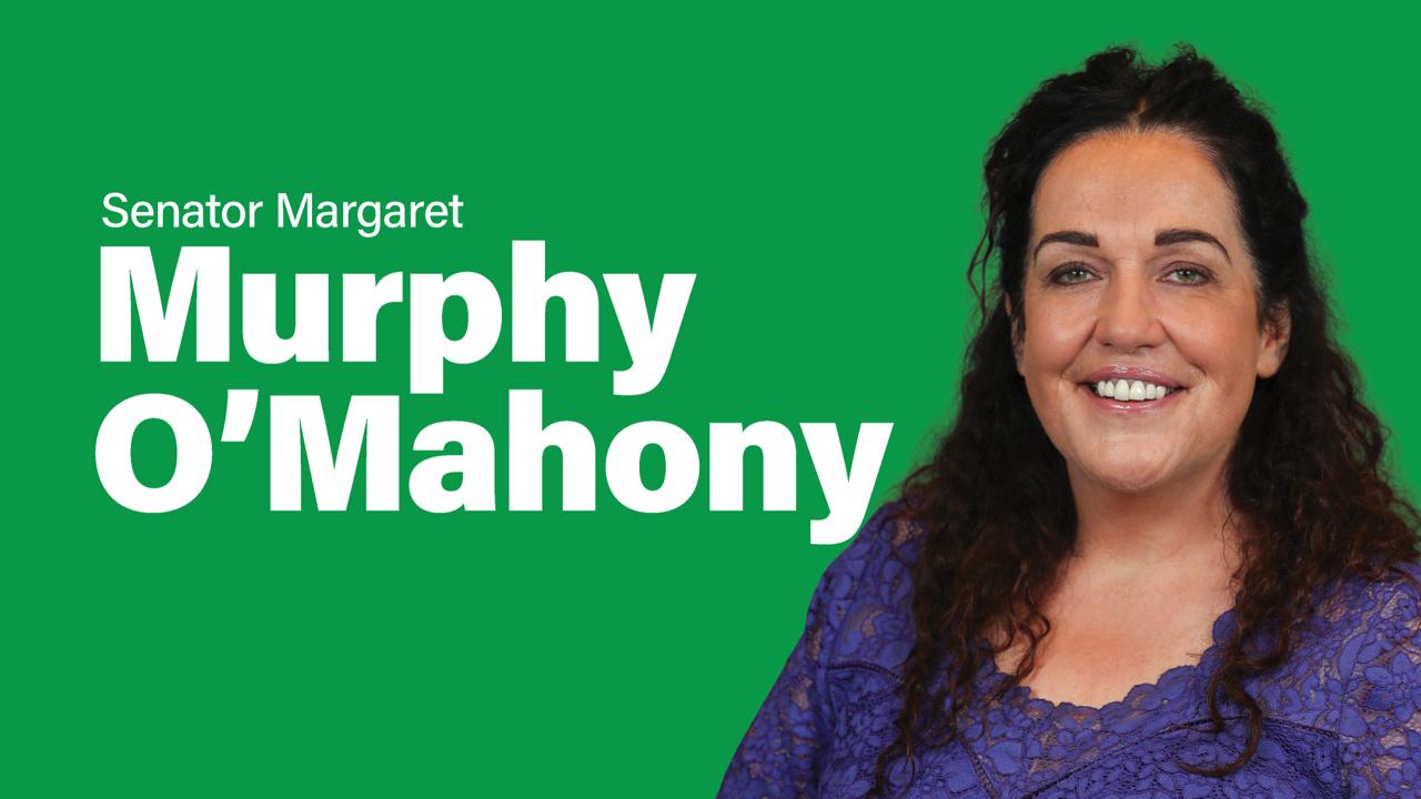 Prioritising Therapy over Reporting; Assessment of Needs Reforms Funded and Focused on Care - Senator Margaret Murphy O’Mahony