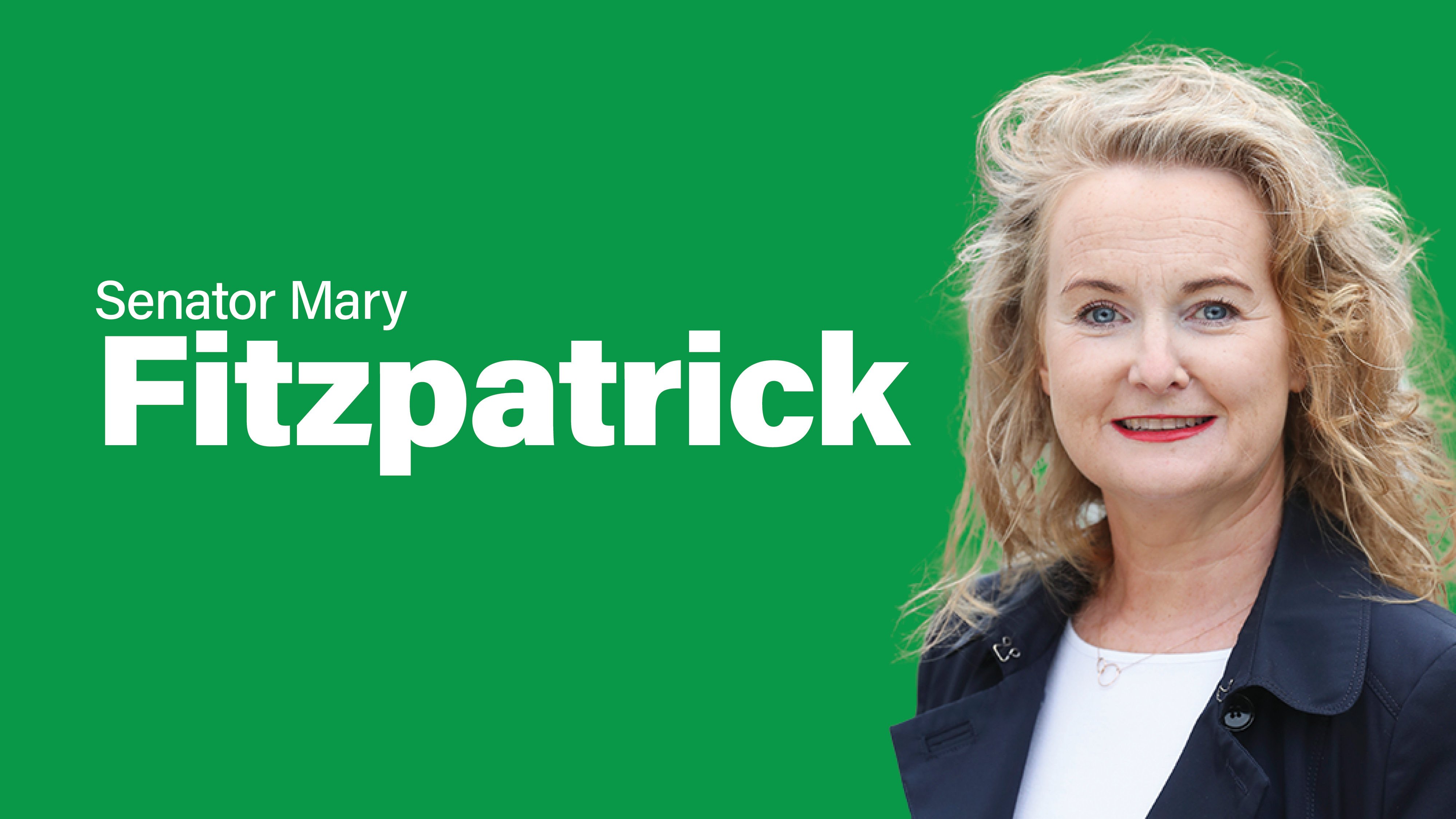 Fitzpatrick introduces Bill to protect retail workers amid rising crime