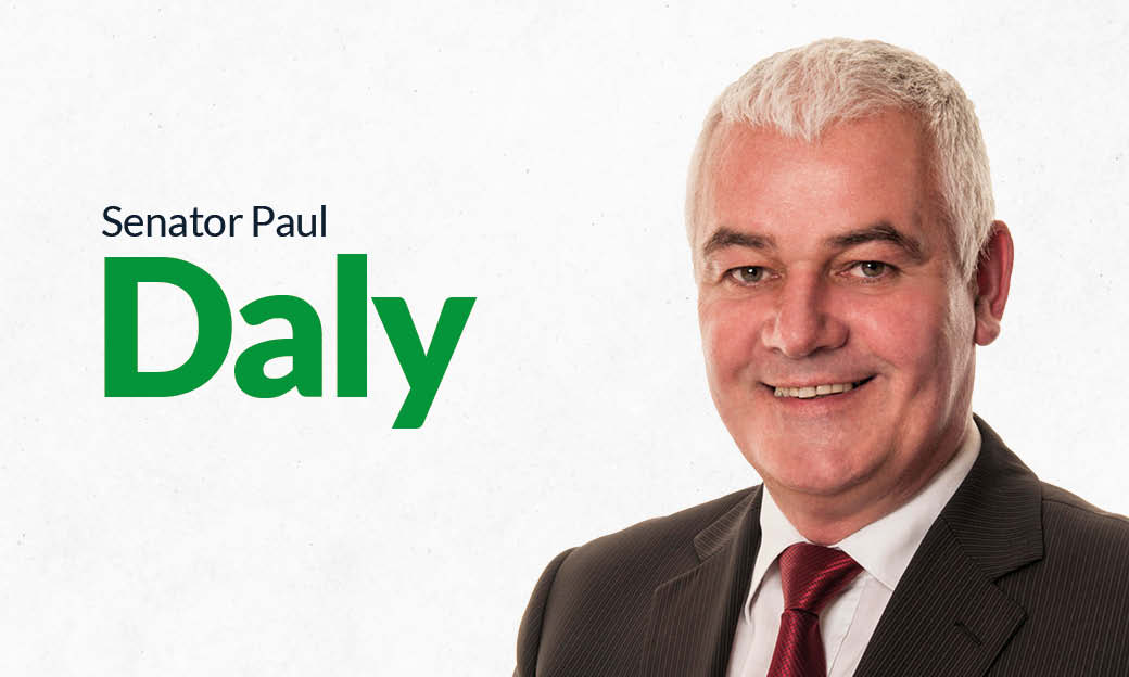 Small horse breeders should be supported under the Targeted Agriculture Modernisation Schemes (TAMS) - Senator Paul Daly