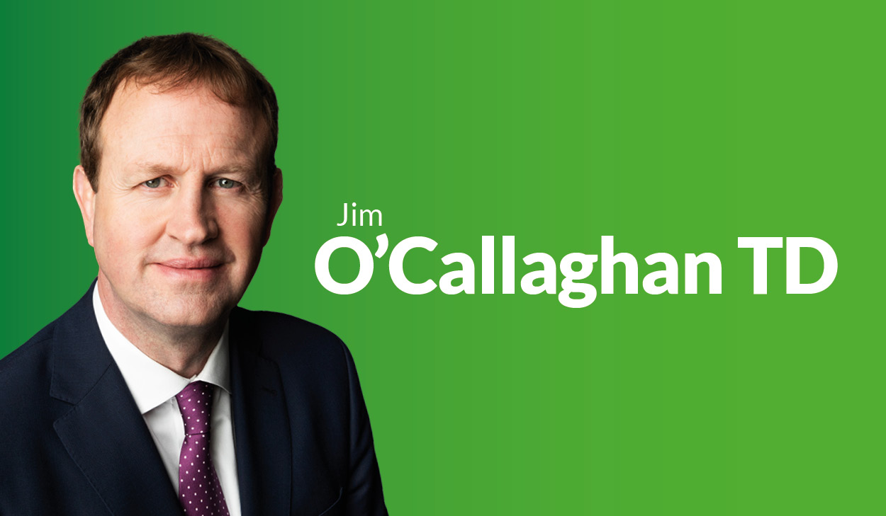 Knife crime legislation must be enacted without delay to help protect communities - O'Callaghan