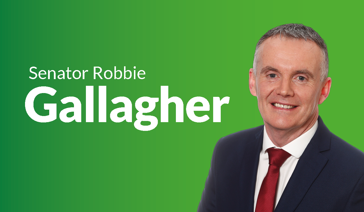 Mandatory Sentences are imperative to protect the emergency services - Senator Robbie Gallagher